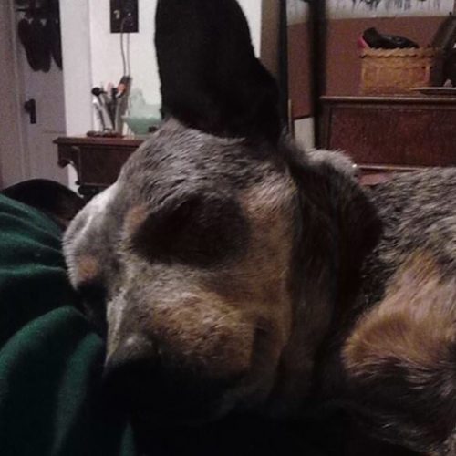 Dear New (non-farmer) Boyfriend